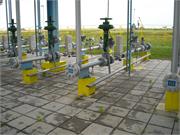 Banatski dvor slika06